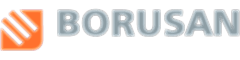 Borusan Holding