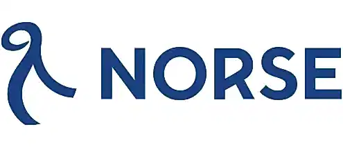 norse atlantic airways logo